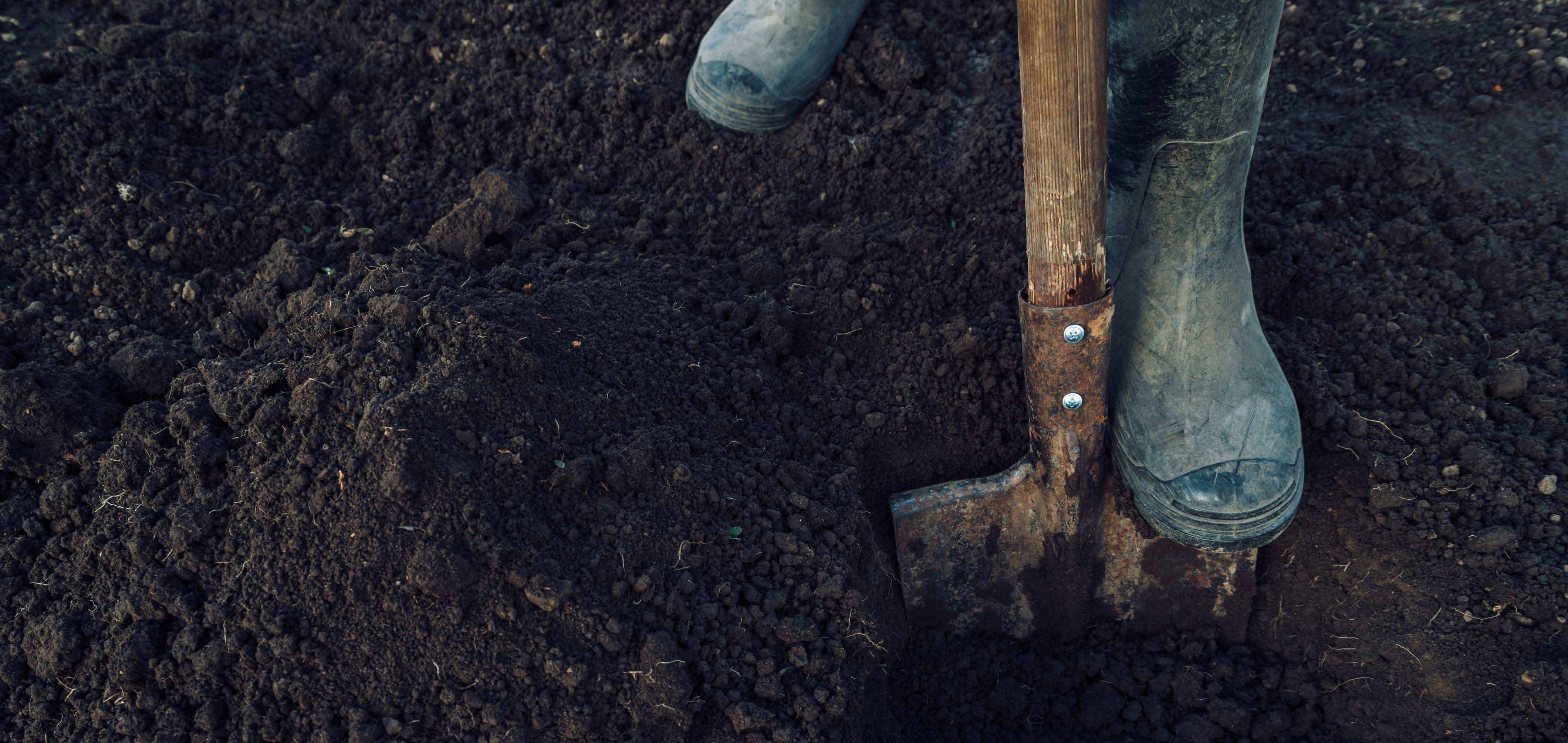 Копать землю. Весенняя перекопка почвы. Можно ли копать в дождь. Можно ли копать в дождь. Копка огорода.